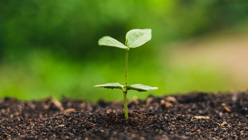 Últimos blogs de la empresa sobre Australia advierte: Etiquetas engañosas compostables que causan contaminación masiva de plástico