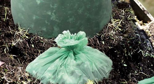 Últimas noticias de la empresa sobre ¿Son biodegradables las bolsas de plástico compostables? Desmintiendo los mitos