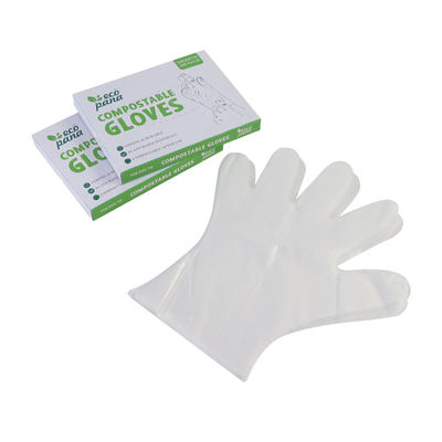 Guantes desechables compostables resistentes a fugas para la preparación de alimentos tareas domésticas cuidado personal