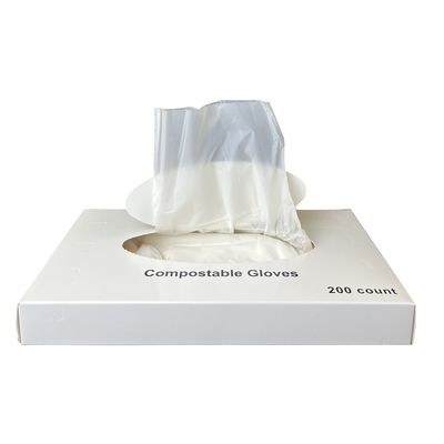Buen precio Guantes 100% compostables, desechables y libres de látex Guantes desechables para el servicio de alimentos y bebidas, guantes para la preparación y cocina de alimentos, respetuosos con el medio ambiente. en línea